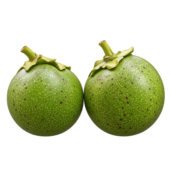Black Sapote – 500 g (Fresh Chocolate Pudding Fruit)