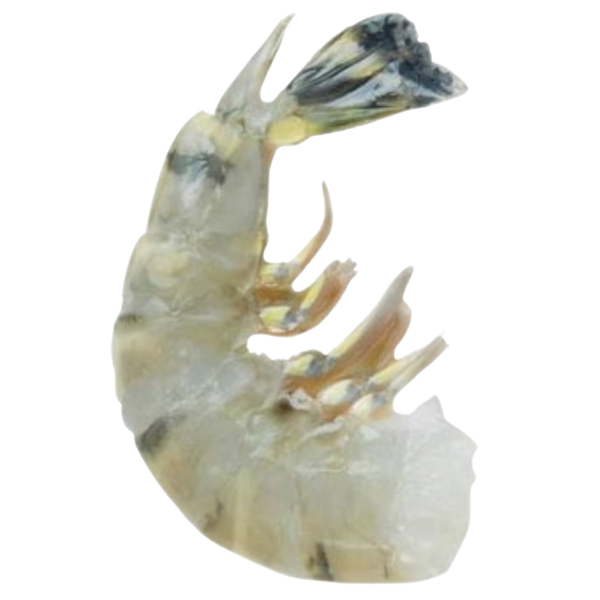 Blacktiger HLSO 21/25 - 1 Kg