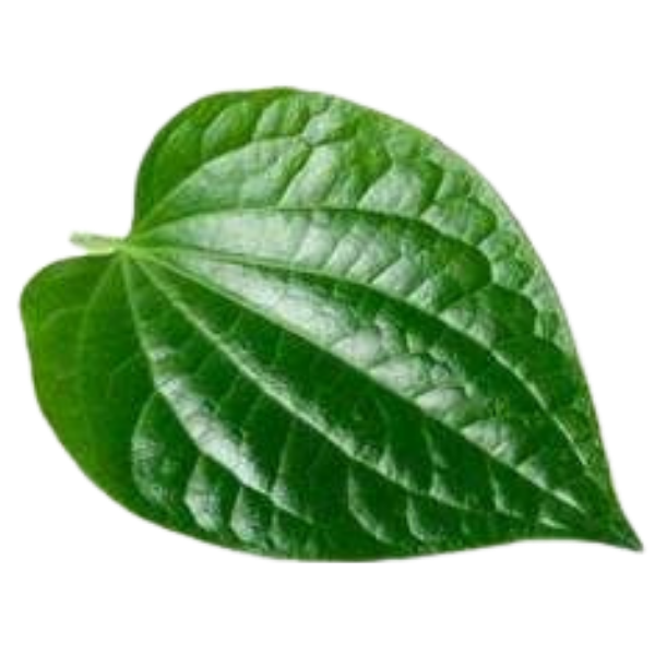 Fresh Betel Leaves (Paan Leaves) - Per Pcs
