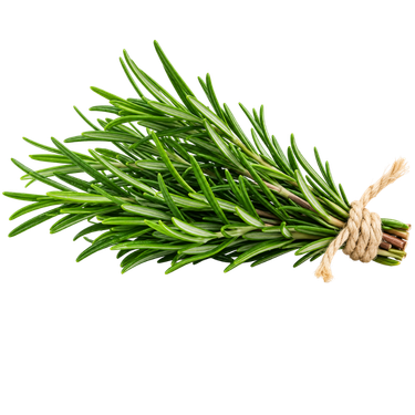 Fresh Rosemary (Rosmarin) – 30 g