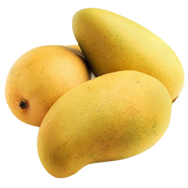 Mango Sindhri (Honey Mango) – 1 kg