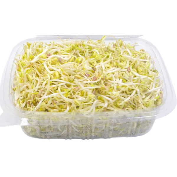 Mung Bean Sprouts – 250 g