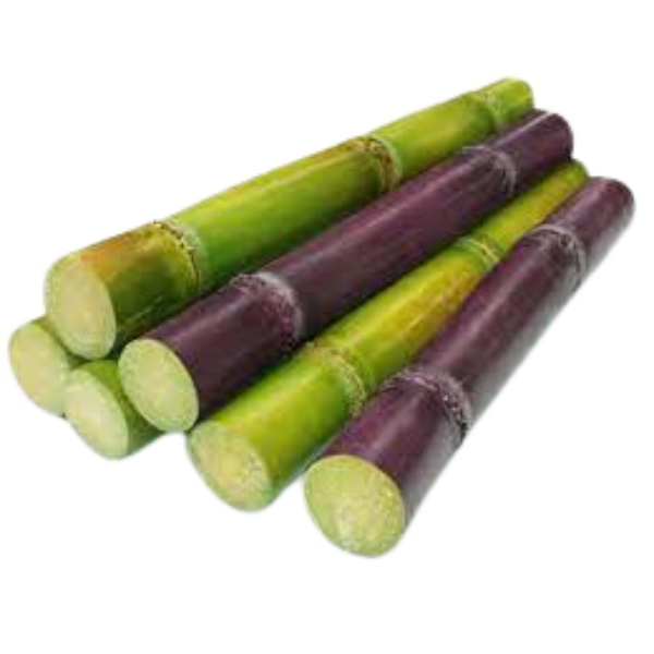 Fresh Sugarcane - 1 Kg