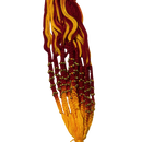 Mauli / Moli Religious Thread