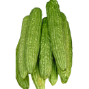 Thai Bitter Melon - 500 g