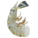 Blacktiger HLSO 21/25 - 1 Kg