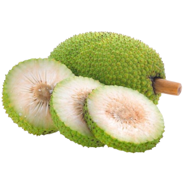 Breadfruit – 1 Kg