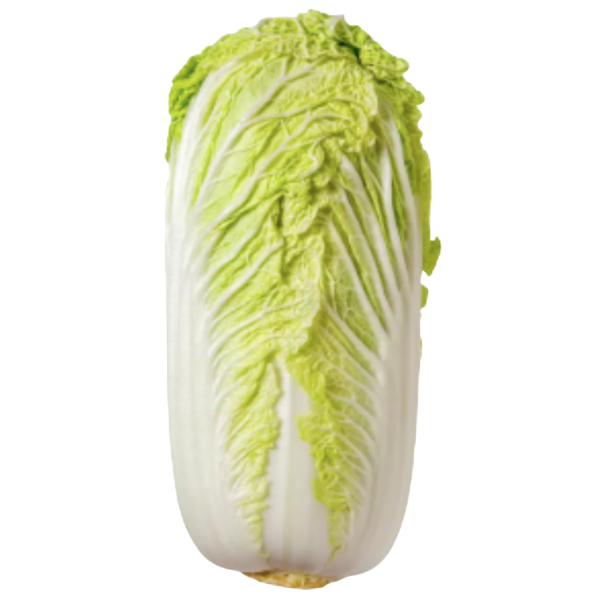Chinese Cabbage - 1 kg