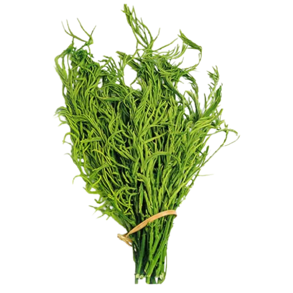Fresh Acacia – 100 g