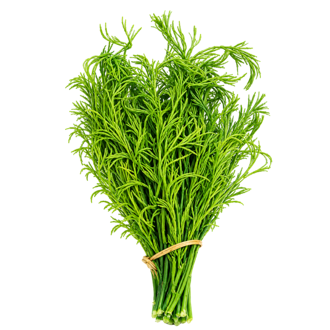 Fresh Acacia – 100 g