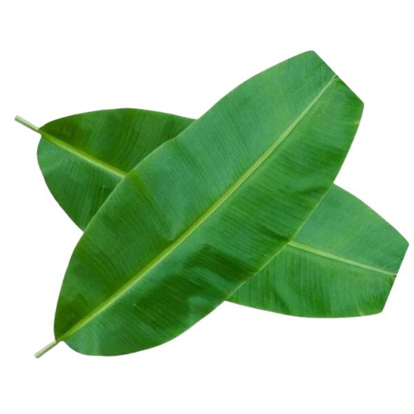 Fresh Banana Leaves – 500 g