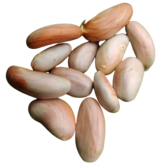 Fresh Jackfruit Seeds - 100 g