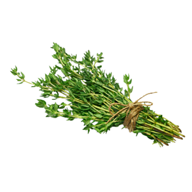 Fresh Thyme (Thymian) – 30 g