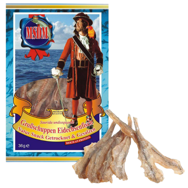 Grobschuppen Eidechsenfisch – 36 g