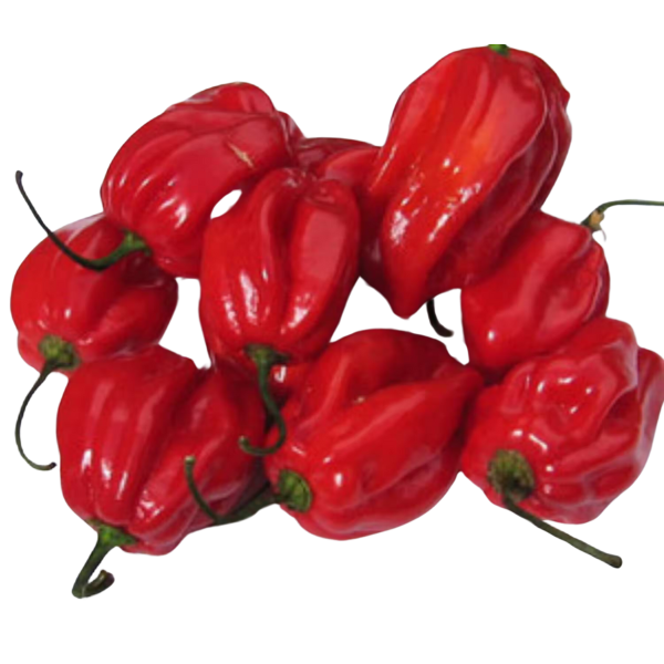 Habanero Red - 100 g