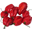 Habanero Red - 80 g