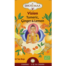 Vision - Turmeric, Ginger & Lemon - 16 teabags - 32 g