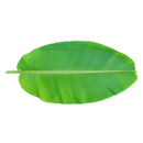 Banana leaves - 500 g