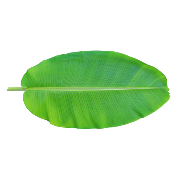 Banana leaves - 500 g