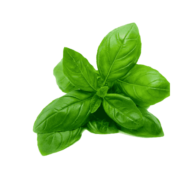 Thai Basilikum leaves - 100 g