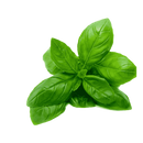 Thai Basilikum leaves - 100 g