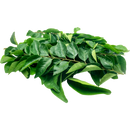 Curry Leaves - 40 g