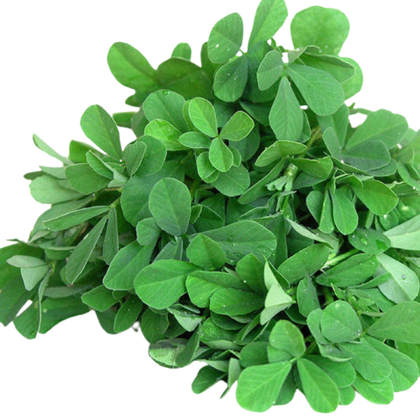 Methi Leaves - approx 120 g+