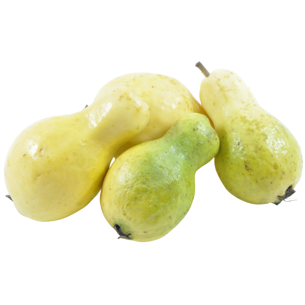 Guava Egypt - per pc