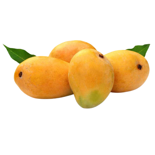 Kesar Mango - 1.3 kg