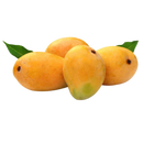Kesar Mango - 1.3 kg