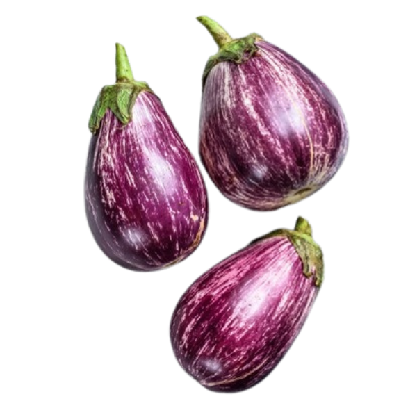 Eggplant/Aubergine Graphity - 500 g